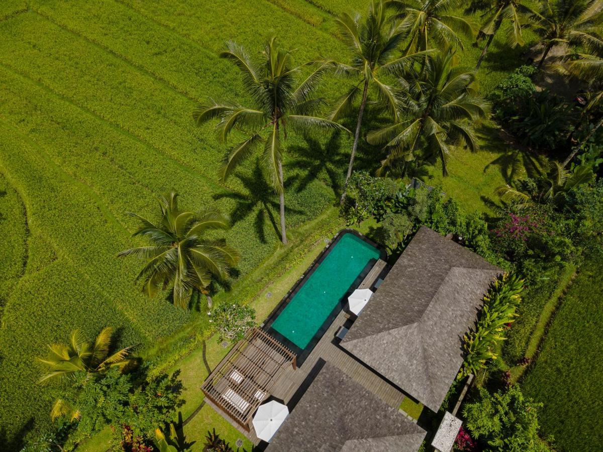 Kappa Senses Ubud Eksteriør billede