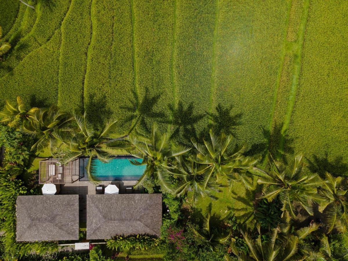Kappa Senses Ubud Eksteriør billede