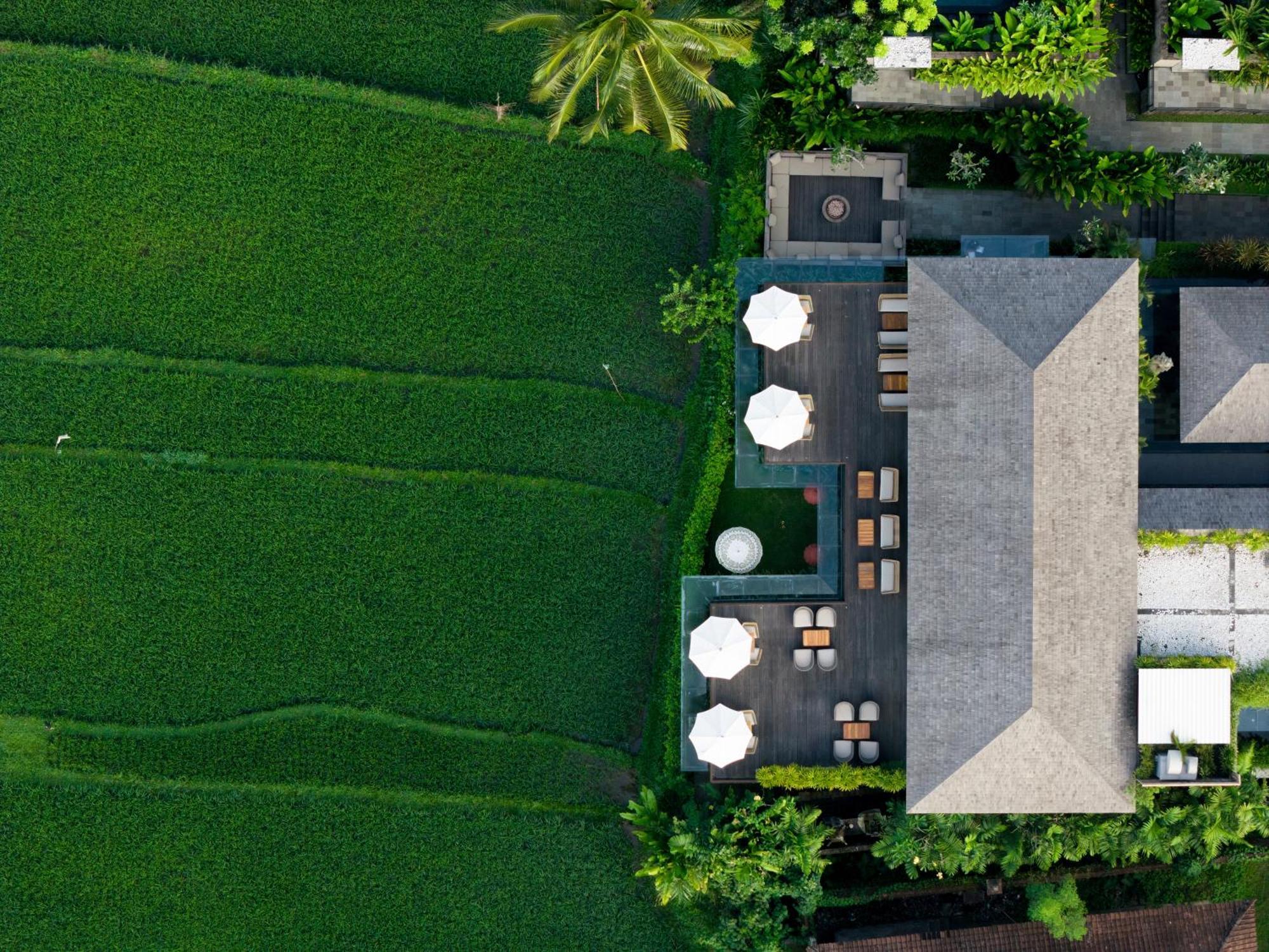 Kappa Senses Ubud Eksteriør billede