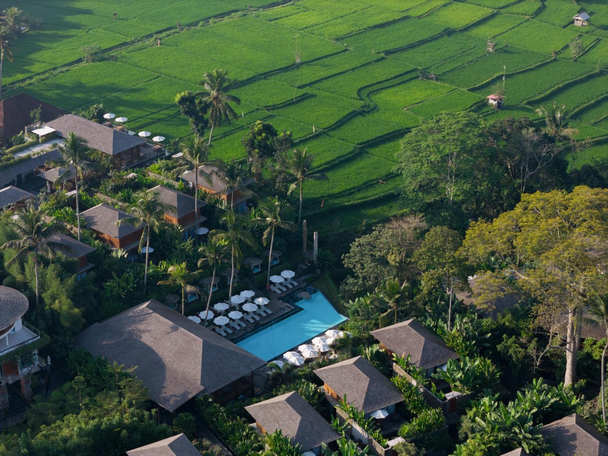 Kappa Senses Ubud Eksteriør billede