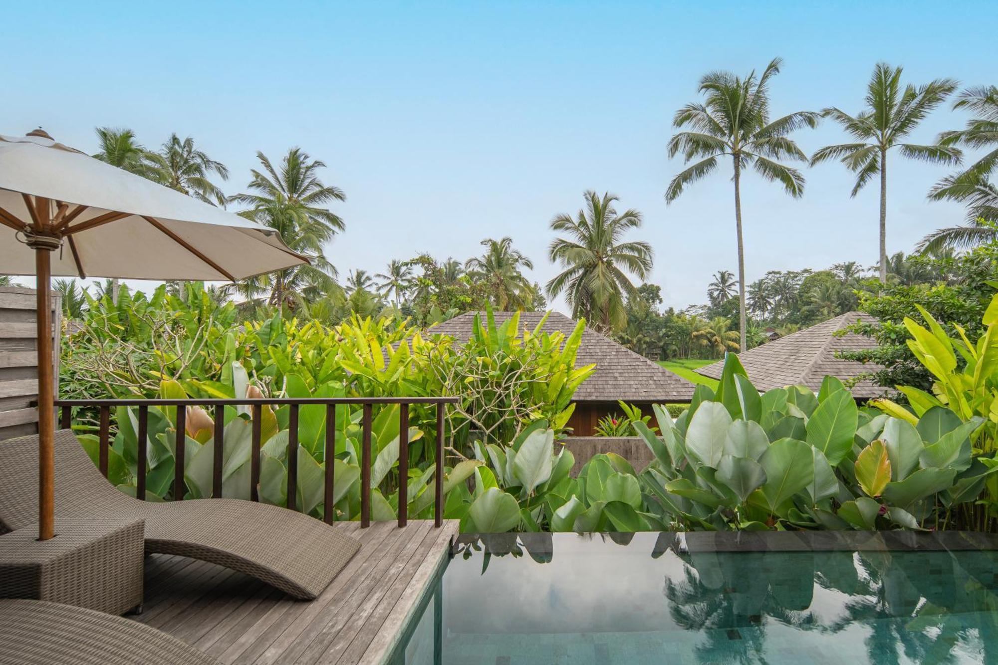 Kappa Senses Ubud Værelse billede