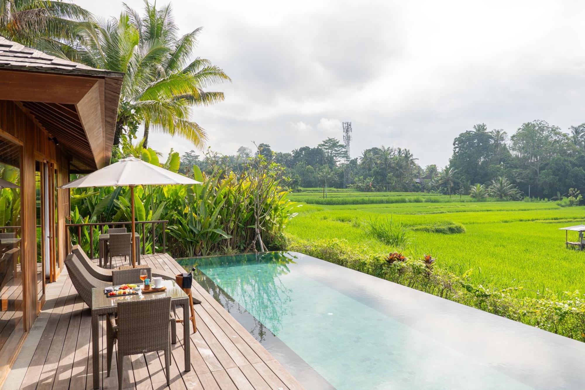 Kappa Senses Ubud Værelse billede