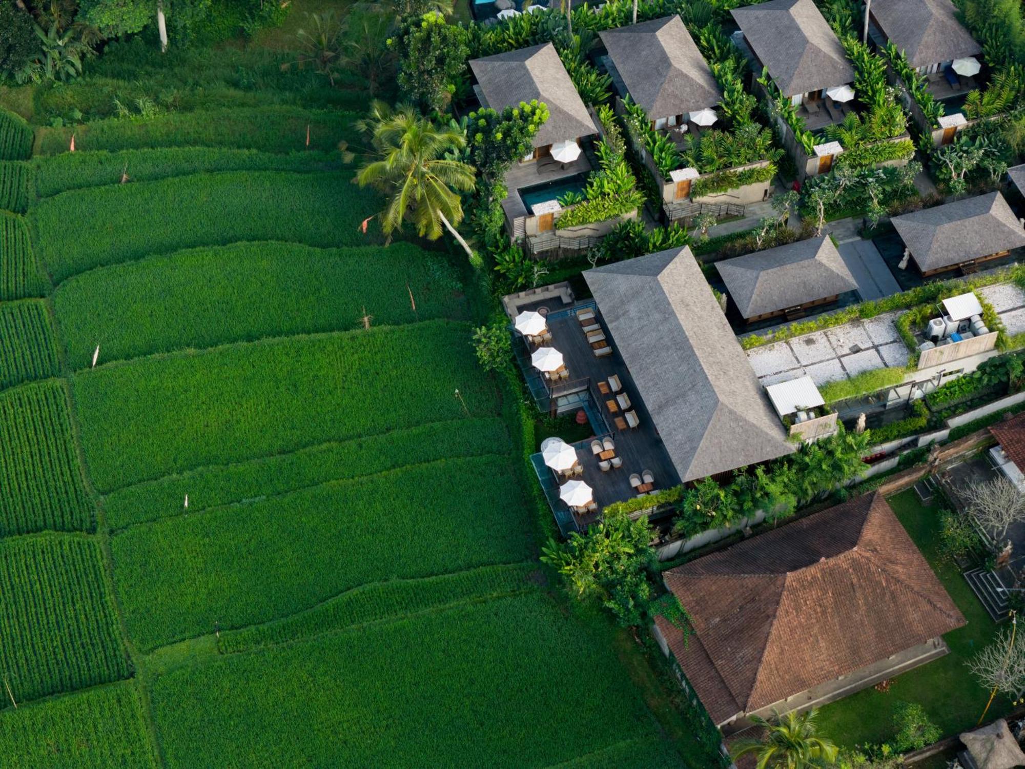 Kappa Senses Ubud Eksteriør billede