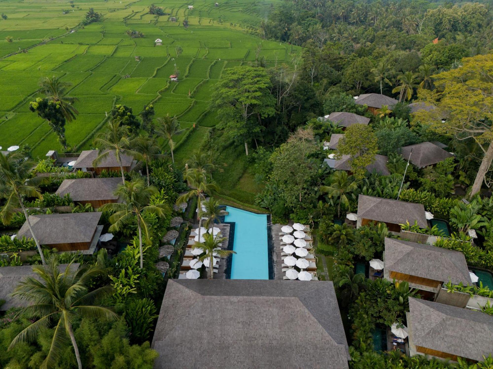 Kappa Senses Ubud Eksteriør billede
