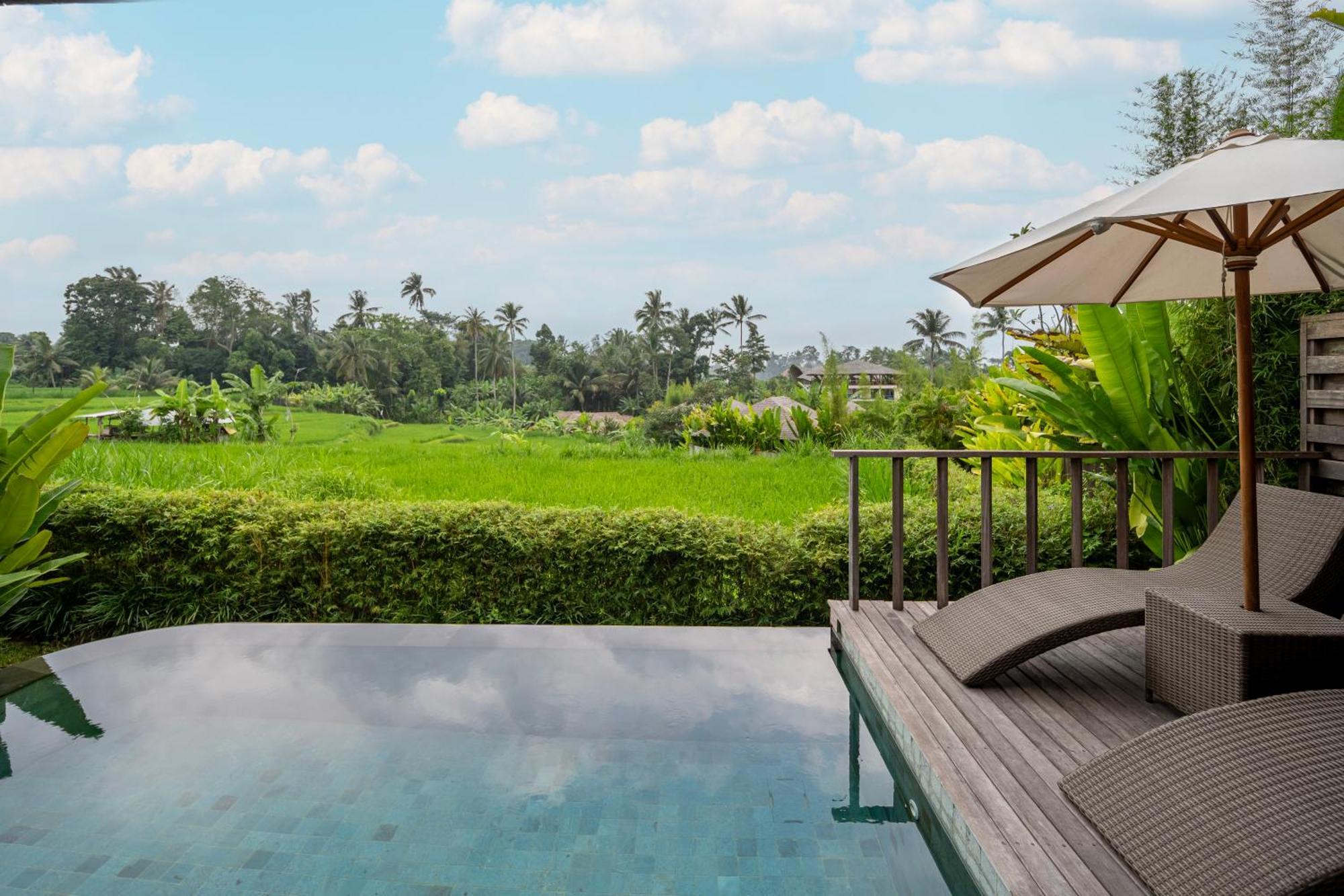 Kappa Senses Ubud Værelse billede