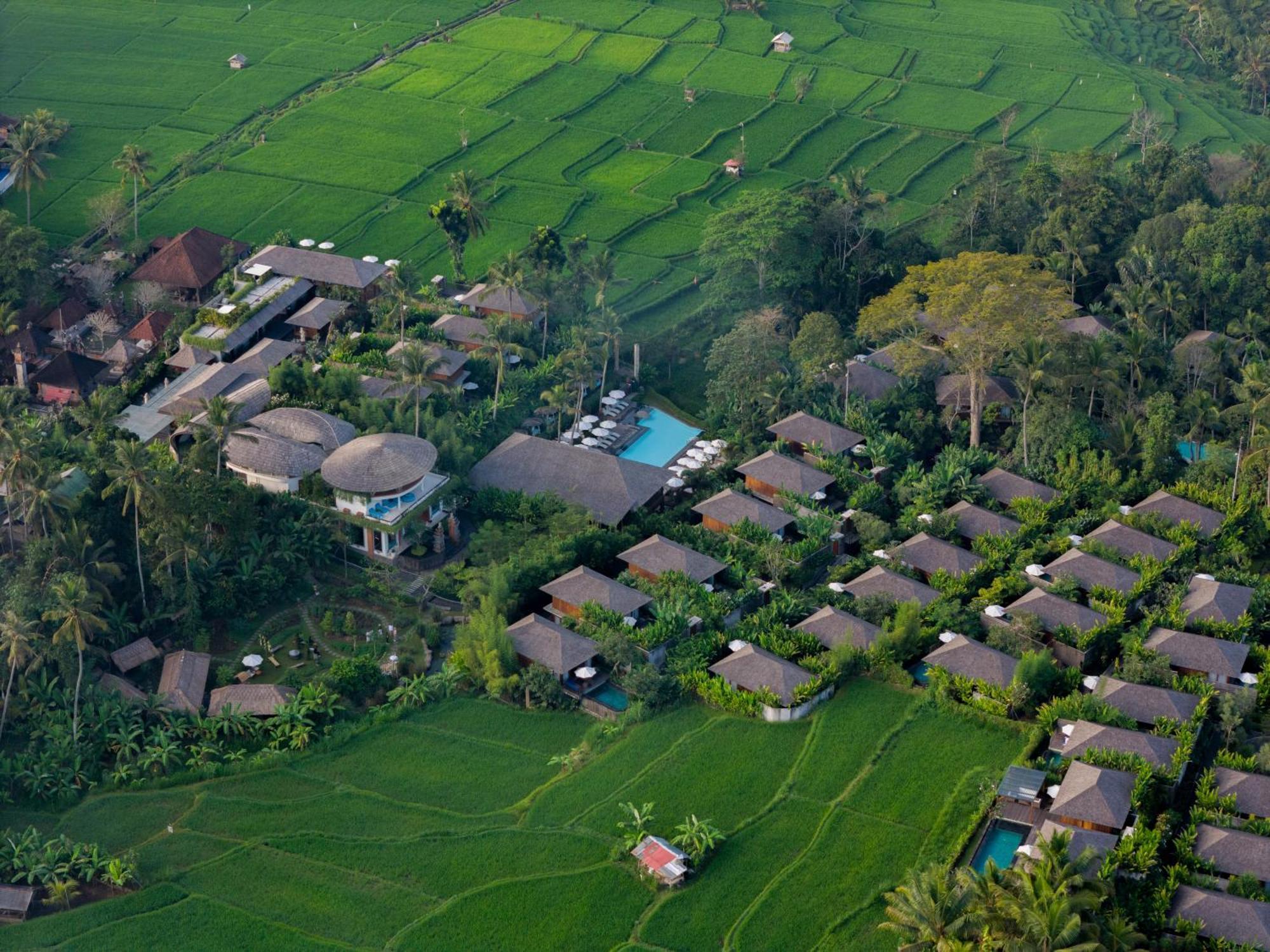 Kappa Senses Ubud Eksteriør billede